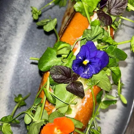 Vakantiehuis La Nine Aigne (Herault)